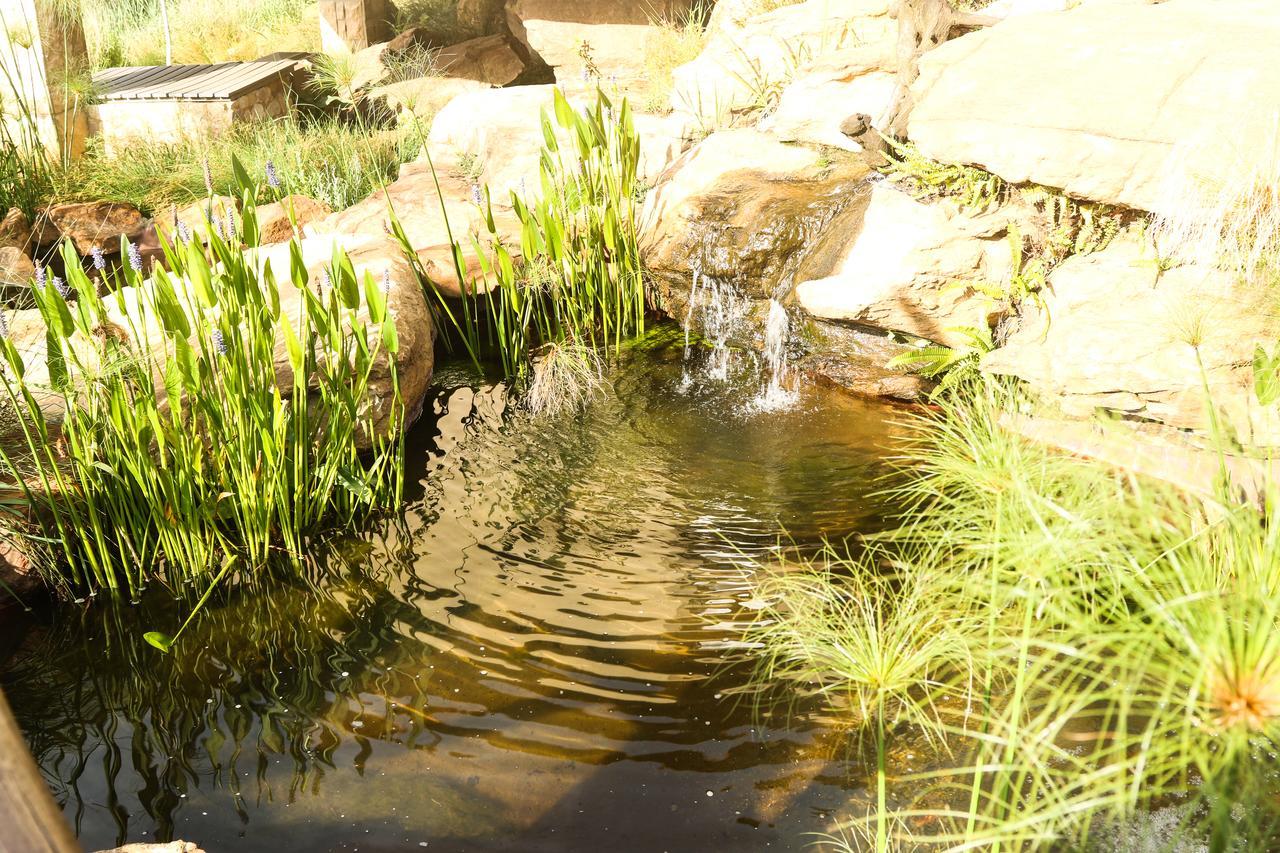 Heidelberg Kloof Lodge מראה חיצוני תמונה